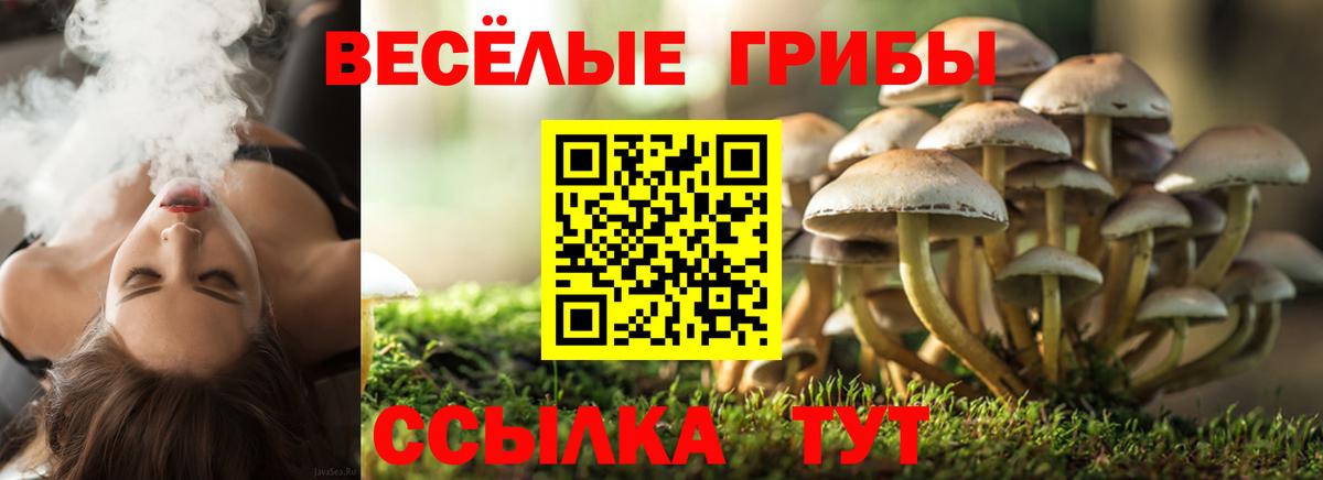 Галлюциногенные грибы мухоморы  Вход с VPN  Ярославль 